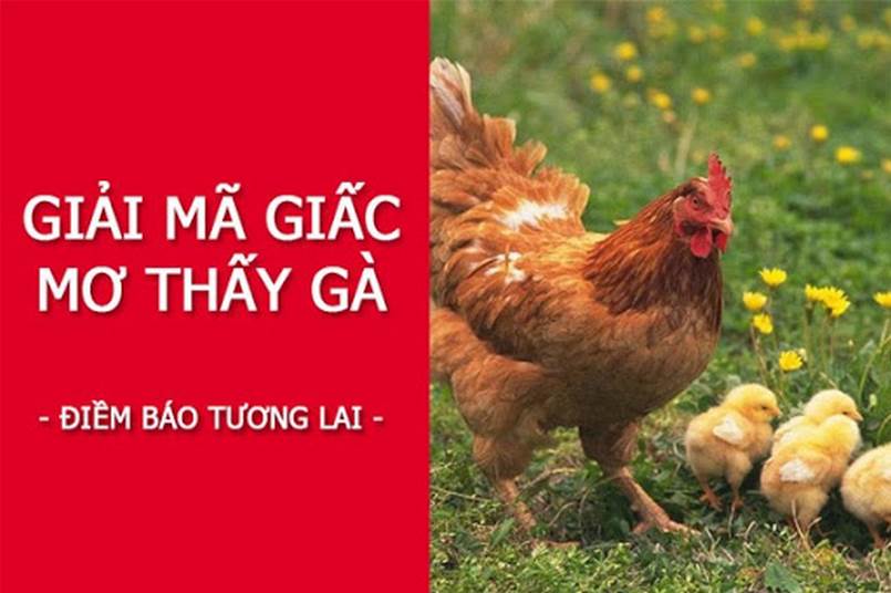 Những giấc mơ thấy gà đang dự báo cho bạn điều gì?