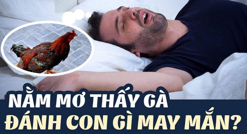 Mơ thấy gà thì đánh con gì để có thể về?